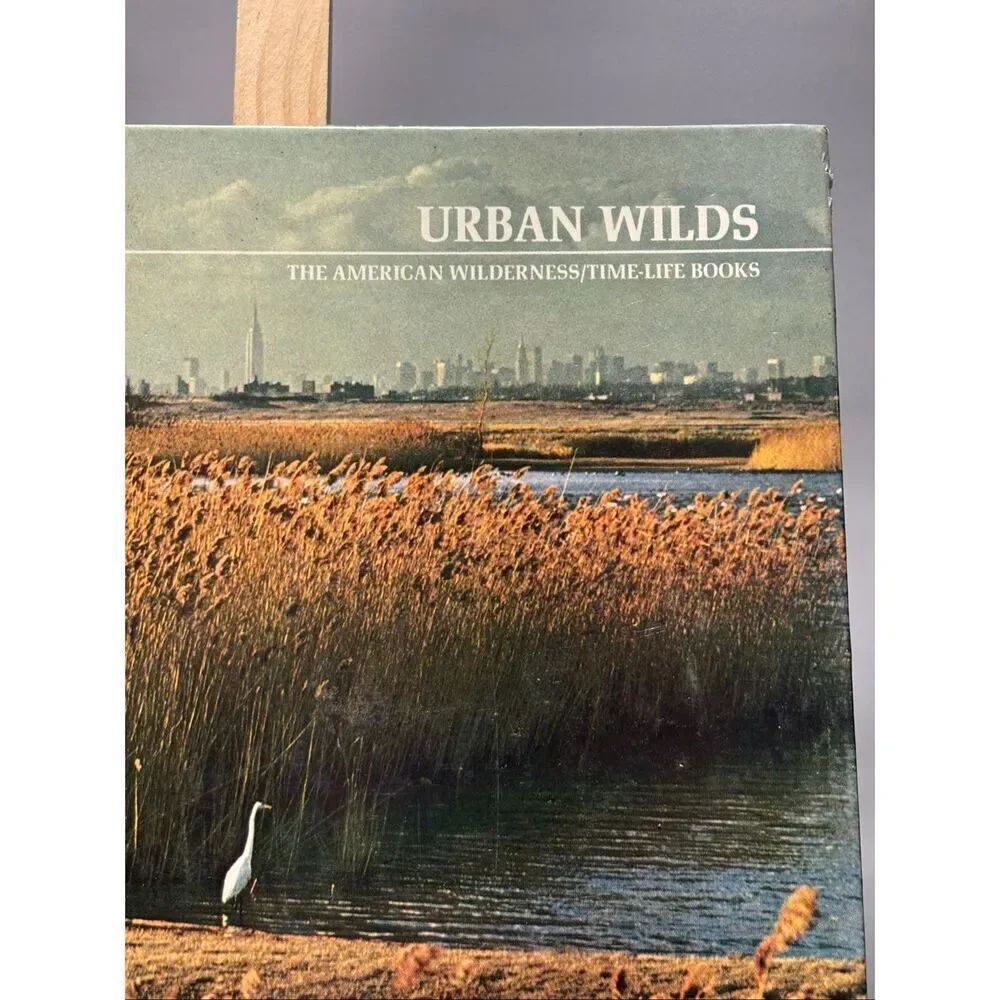 Urban Wilds - Picture 2 of 6